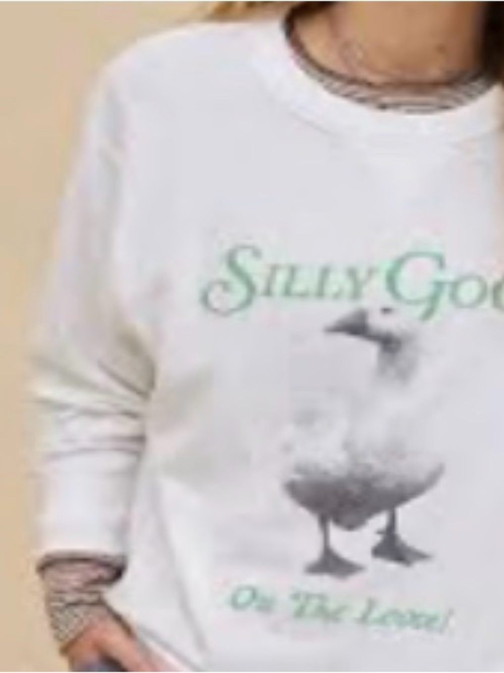 aerie White Graphic Long Sleeve Crewneck with Seagull Print